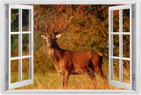 Poszter 60x40 Királyszarvas