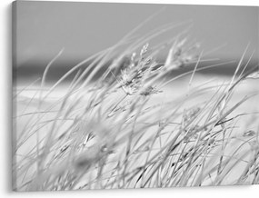 Kép - Strandfű (70x50 cm)