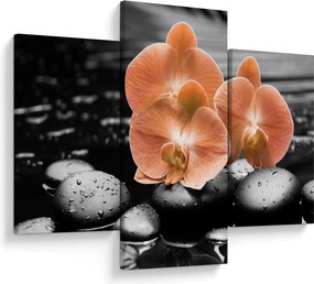 Kép - Narancssárga orchideák (90x60 cm)