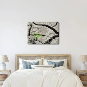 Kép - Repedések (70x50 cm)
