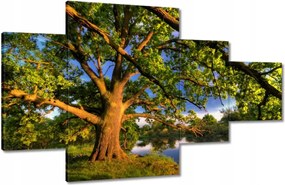 Vászonkép 130x80 Tölgy a croissant-ban Nyugat