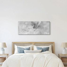 Kép - Bagoly a mezőn (120x50 cm)