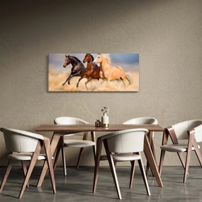 Kép - Vad lovak (120x50 cm)