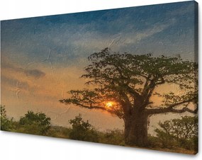 Vászonkép Lenyugvó nap a szavannán 90x60 cm Ajándéknak is tökéletes