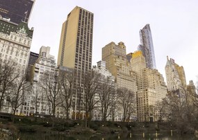 Poszter 84x59,5cm Központi park Manhattan panorámával 3, Assaf Frank