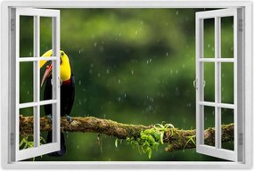 Poszterek 90x60 Madarak