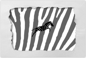 Poszterek 90x60 Zebra csíkos