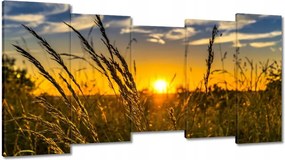 Vászonkép 150x80 Naplemente a füvek között