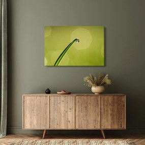 Víz csepp a fűben képe (90x60 cm)