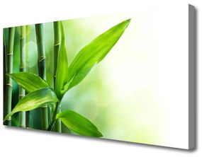Vászonkép falra Bamboo Leaf Nature Plant 100x50 cm