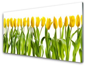 Üvegfotó Tulipán virágok természet 125x50 cm