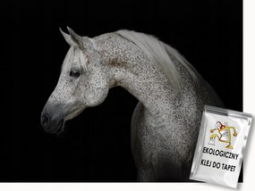 Fotótapéta Flizelina Elegáns Ló Fehér Szürke Paripa 200x140 ragasztó