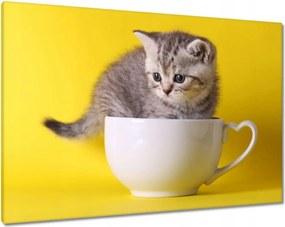 Våszonkép 100x70 Cica