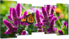 Vászonkép 150x80 Pillangó a virágokon