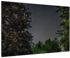 Éjszakai égbolt képe (90x60 cm)