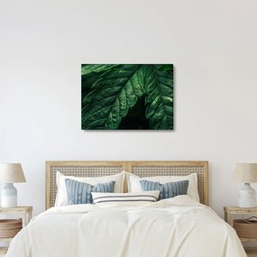 Kép - A lap részletei (70x50 cm)