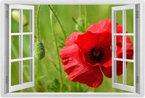 Poszterek 120x80 piros mezei pipacs