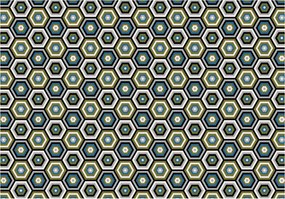 Fotótapéta Hatszögletű geometrikus vinil modern 254x184 +ragasztó