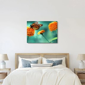 Egy pillangó képe (70x50 cm)