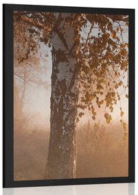 Poszter őszi erdő ködben