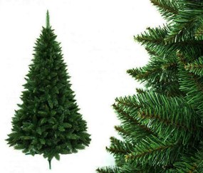 Karácsonyfa Jegenyefenyő 150cm hegyi