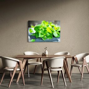 A menta képe (90x60 cm)