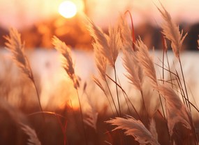 Poszter 55x40cm Arany Nyugat