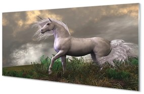 Akrilkép Unicorn felhők 100x50 cm 2 fogas