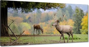 Vászonkép 120x60 Szarvas a szeretett szarvassal