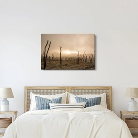 Kép - Csupasz fák (90x60 cm)