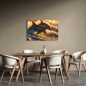 Kép - Delfinek (90x60 cm)