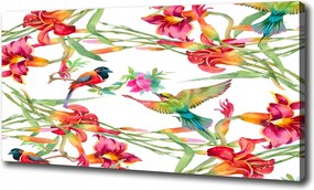 Vászonkép Egzotikus madarak 100x70 cm