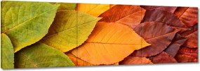 Vászonkép 120x40 Őszi színes levelek Levél