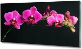 Fotó vászonkép edzett üveg Aster 100x70