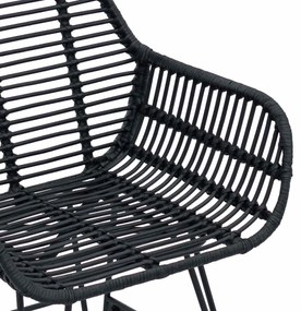 Étkezőszék 2 pcs Fekete 55 x 50 x 74 cm Rattan és Vas
