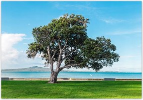 Fotótapéta flizelina 312x219 Magányos fa