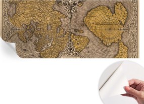 Divatos öntapadós tapéta Fali furnér Történelmi térképészet 250x104