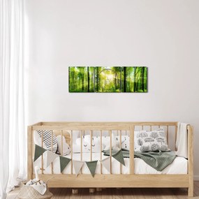 Kép - Hajnal az erdőben (órával) (90x30 cm)