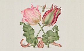 Fotótapéta Flizelin Hálószoba Nappali Tulipán szépség 416x254 Ragasztó