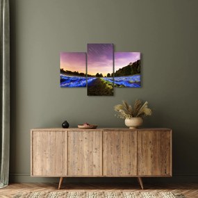 Színes mező képe (90x60 cm)