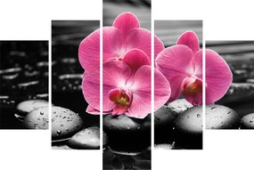 Kép - Rózsaszín orchideák (150x105 cm)