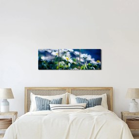 Százszorszépek képe (órával) (90x30 cm)