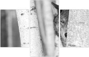 Kép - Farkas az erdőben (90x60 cm)