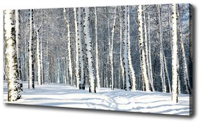 Egyedi vászonkép Erdőben télen oc-61171749