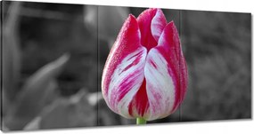 Képek 180x90 Színes wka