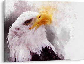 Egy sas képe (70x50 cm)