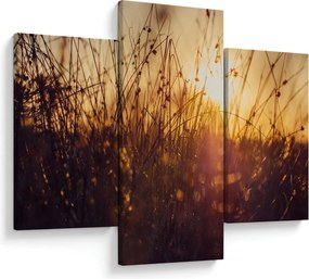 A mező képe naplementekor (90x60 cm)