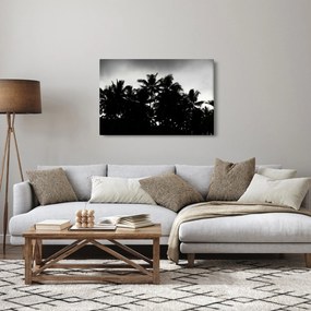 A fekete-fehér pálmafák képe (90x60 cm)