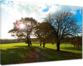 Festmények 100x70 Őszi tájkép