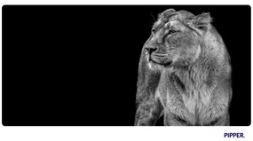 PIPPER. Öntapadós textiltapéta "Oroszlánnő"